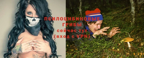 альфа пвп Армянск
