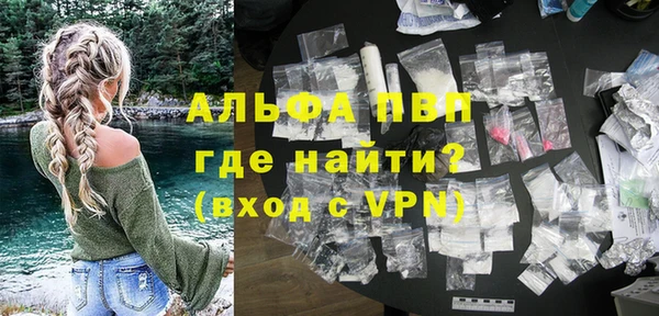 стафф Арсеньев